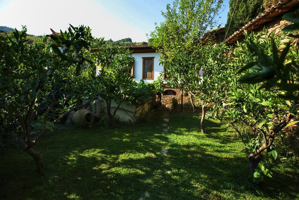 Terrace Houses Sirince Selcuk Exterior photo
