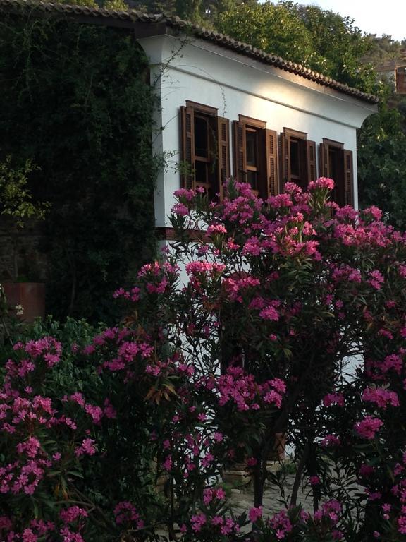 Terrace Houses Sirince Selcuk Exterior photo
