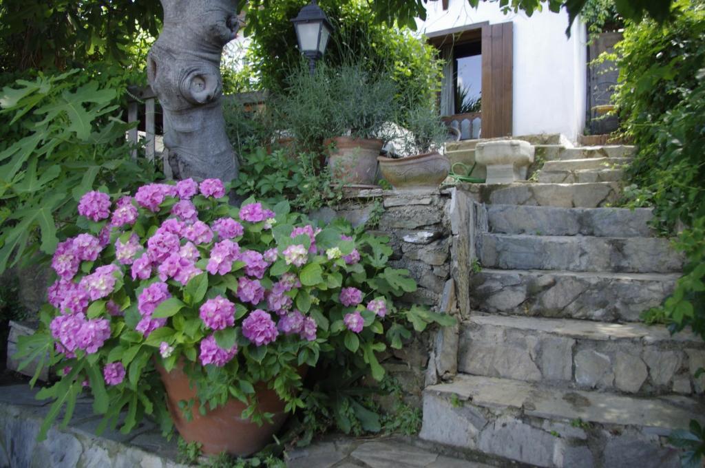 Terrace Houses Sirince Selcuk Room photo